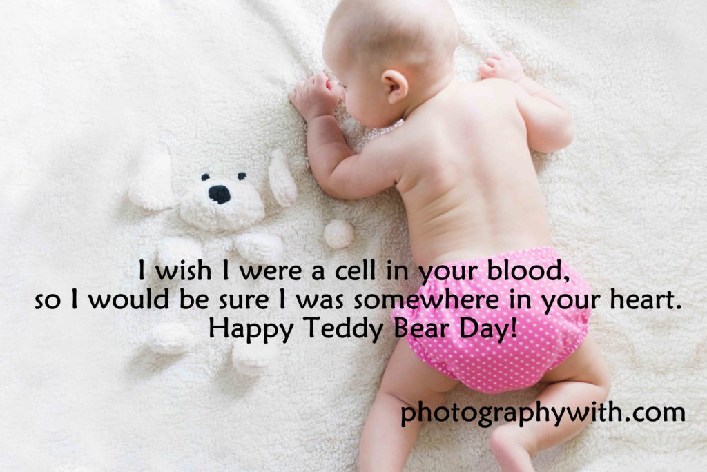 100 Lovely Teddy Day Quotes With Images For Your Loved One Latest