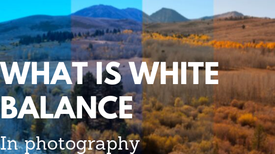 what is white balance?