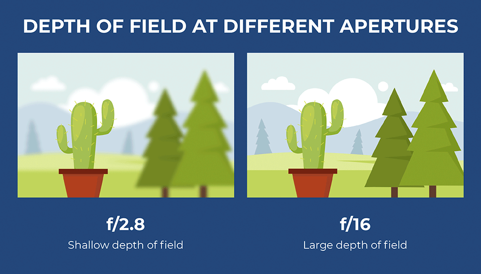5 easy steps to understand aperture quickly | photographywith.com