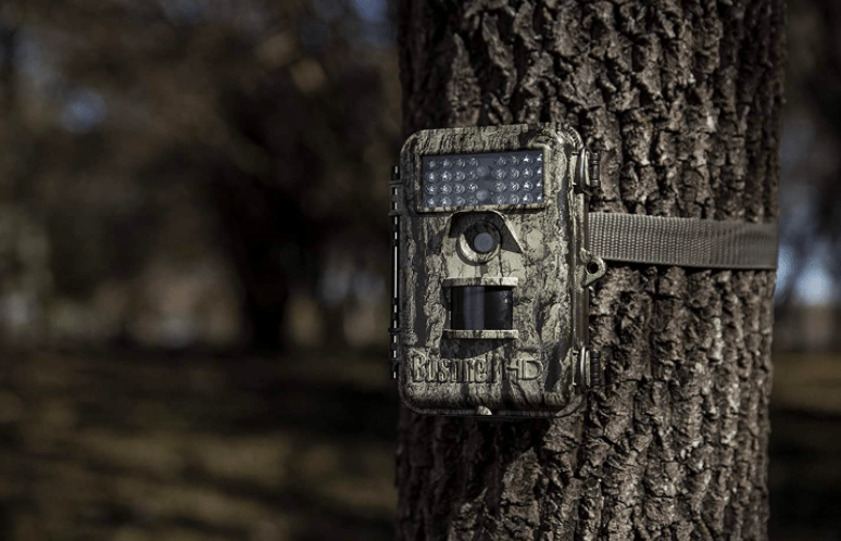 Amazon's Best Trail Cameras under $100 | In-depth review 2023