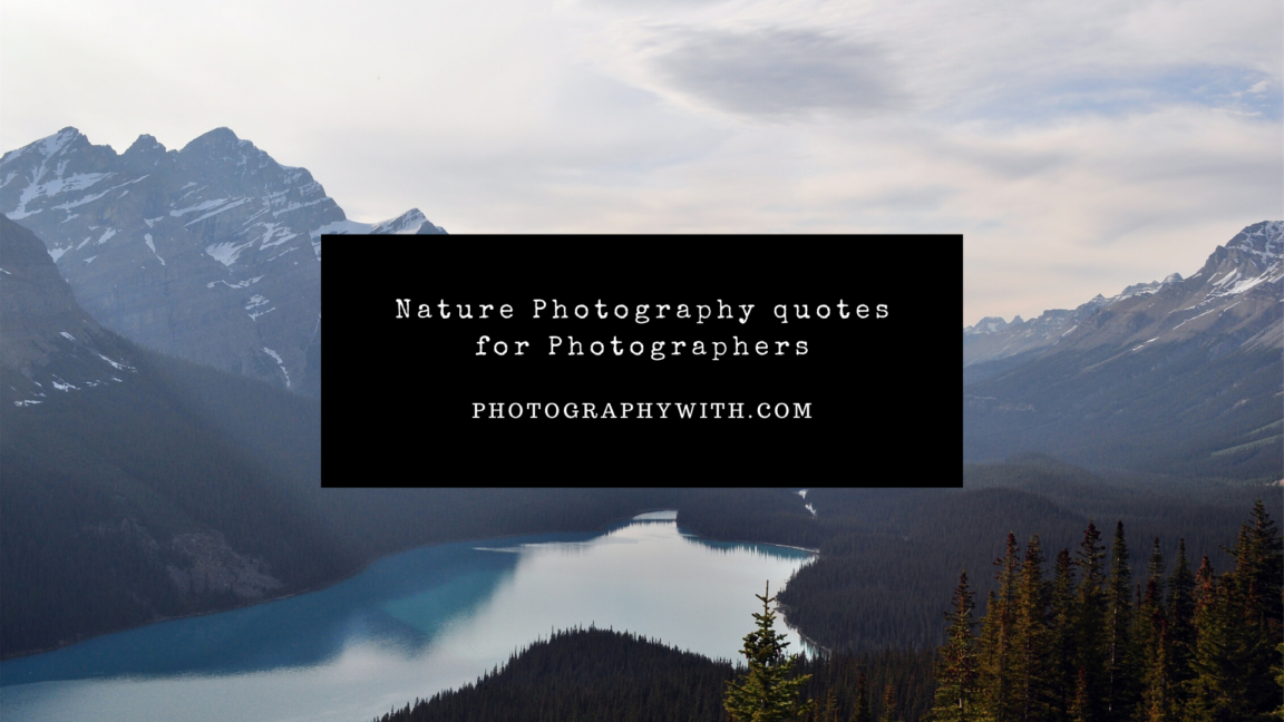 71+ Nature Photography quotes & Caption for Photographers (with Images)