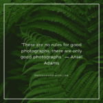 71+ Nature Photography Quotes For Photographers | Captions With Images