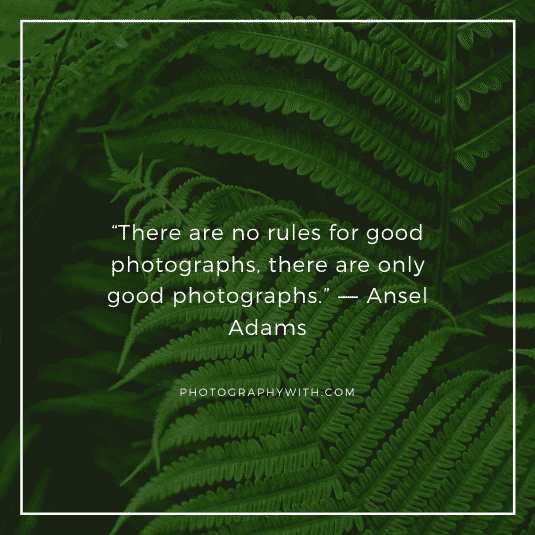 Nature Photography quotes17