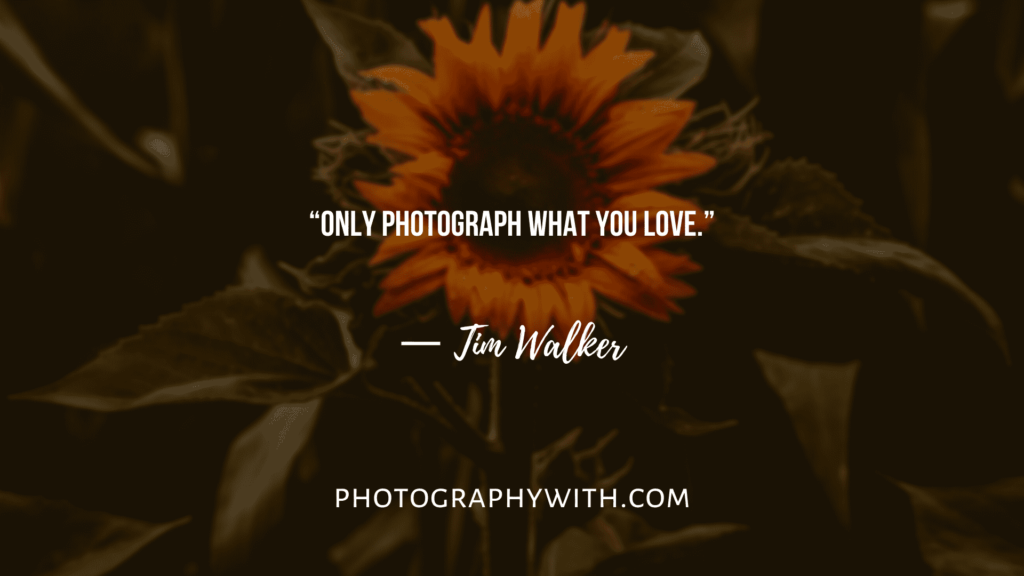 Photography Quotes-16