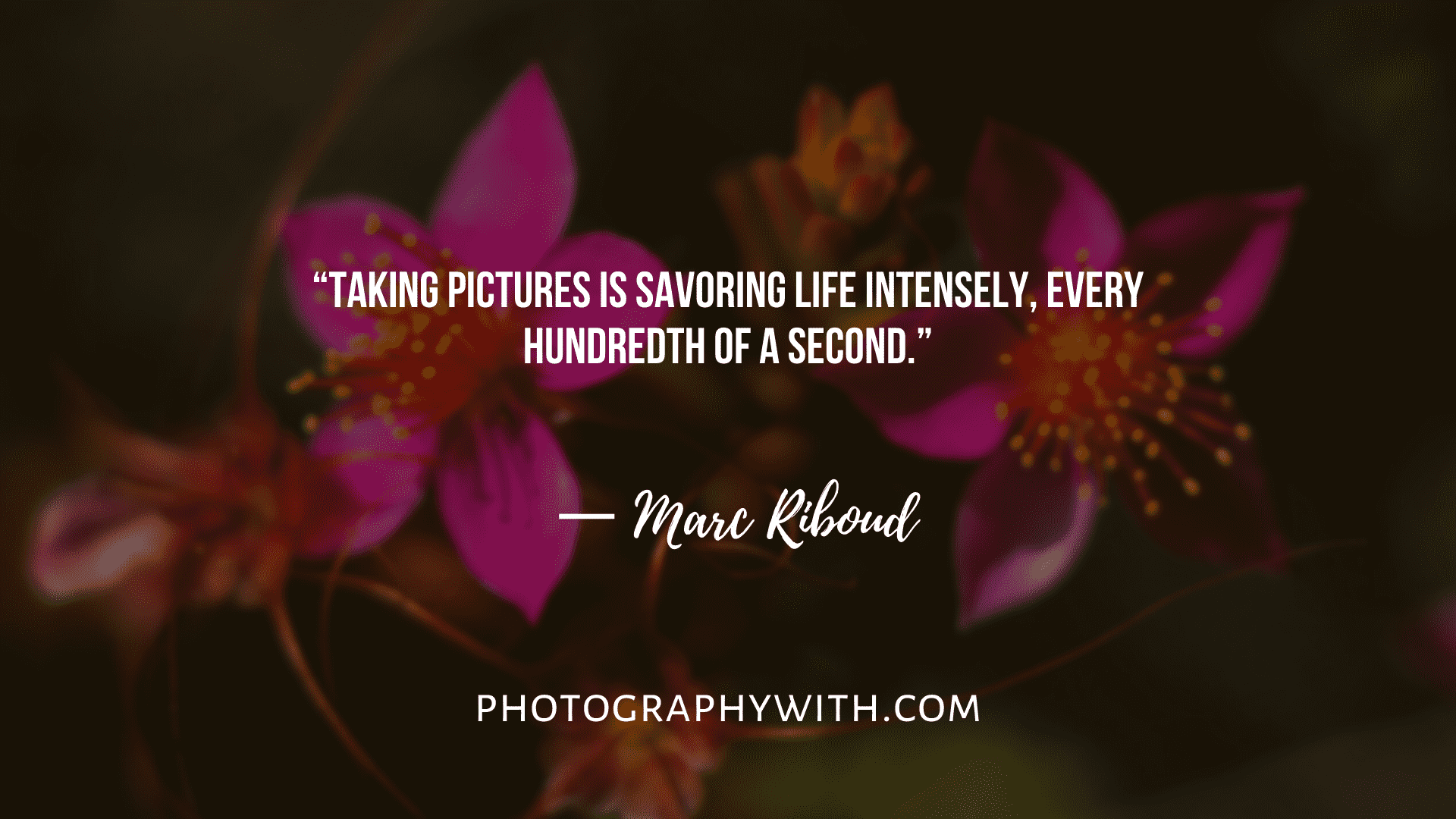 107 Inspirational Photography Quotes | Status | Captions With Images