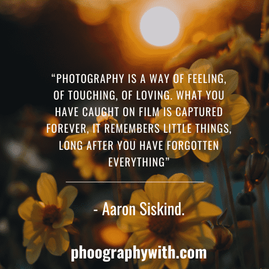 flower photography quote