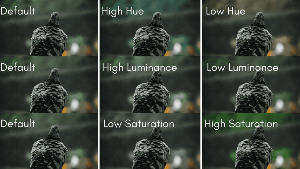 HSL Panel In A Lightroom With Examples