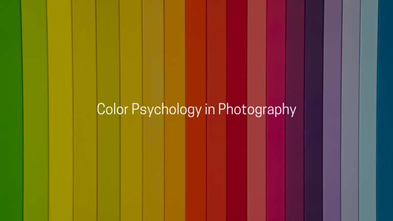 Color Psychology in Photography