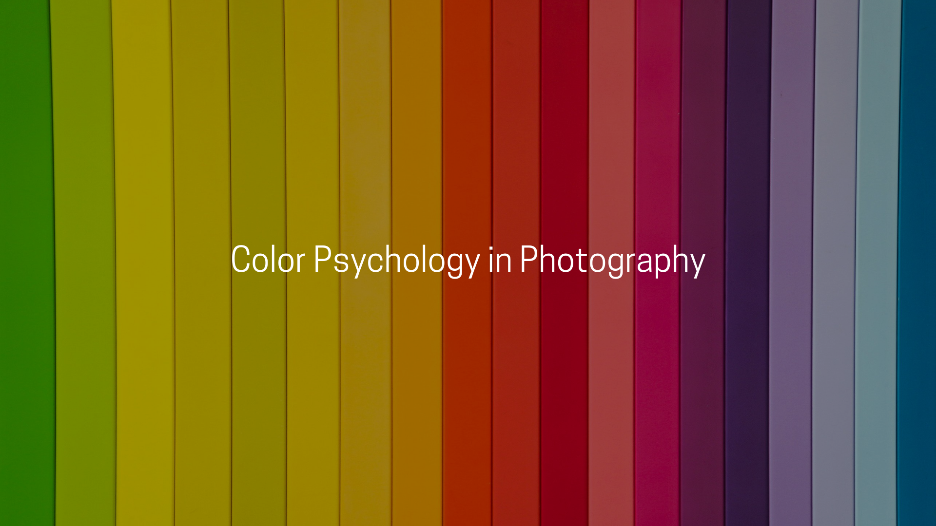 Color Psychology in Photography