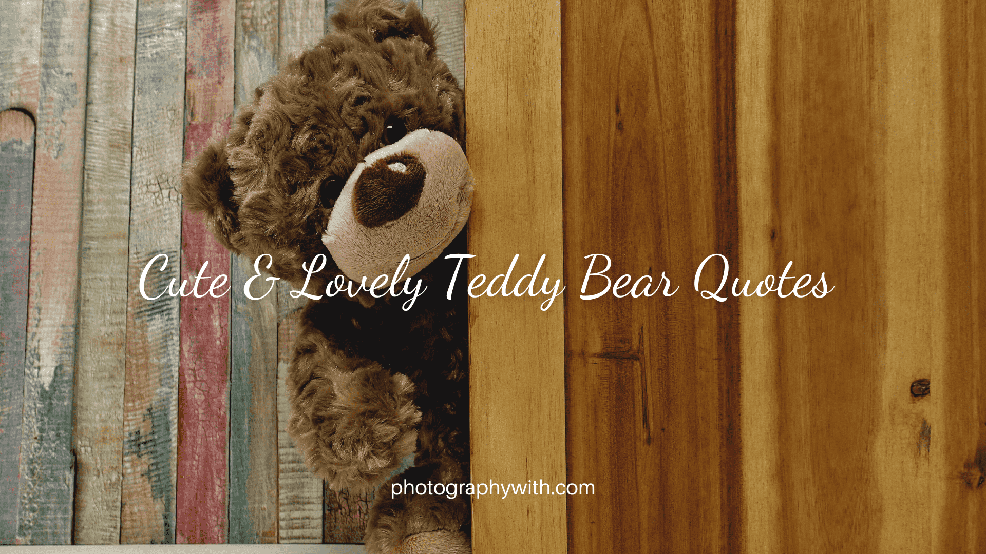 Lovely Teddy Bear Quotes For Girls