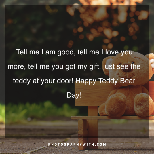 Teddy Bear Quotes For Girls