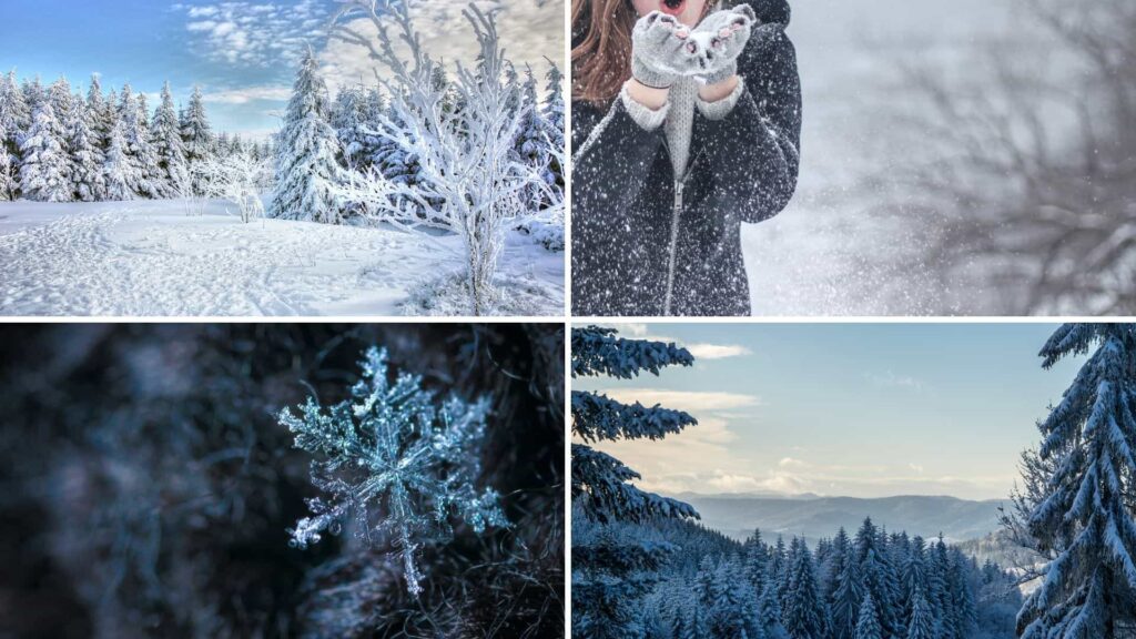 Winter Photography scenes