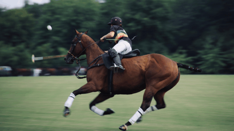 What Is A Panning Shot in Photography & How To Master It?