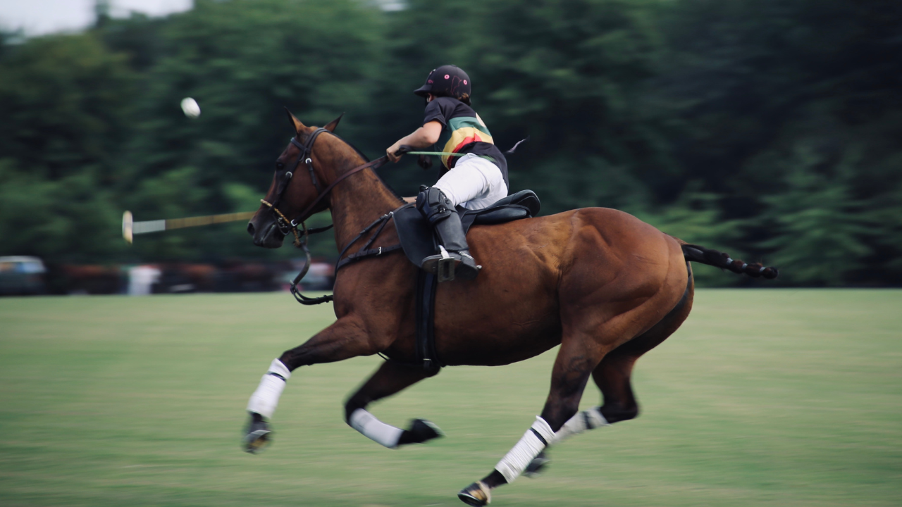 What Is A Panning Shot in Photography & How To Master It?