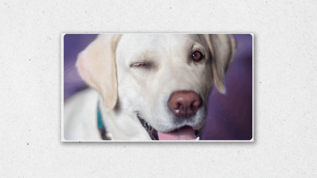 Final words on Best Stock Platforms