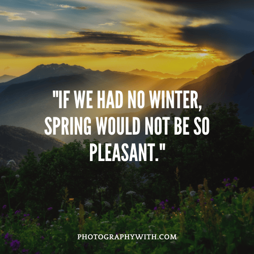 Spring Quotes