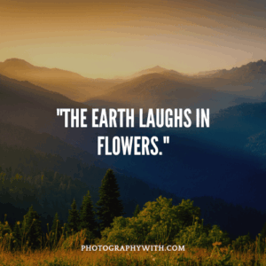 71-soulful-nature-photography-quotes-to-spark-your-inner-artist