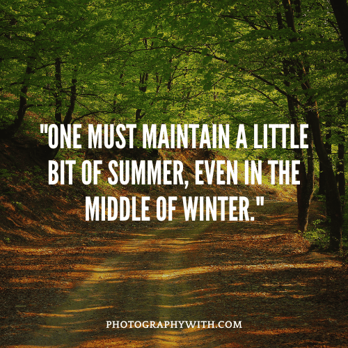 Summer Quotes