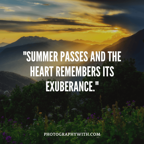Summer Quotes