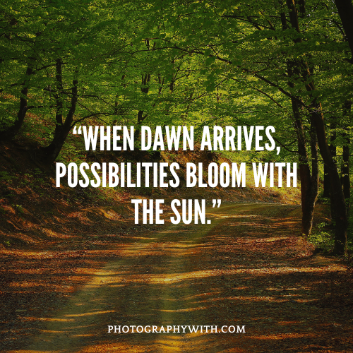 Sunset natural Photography Quotes