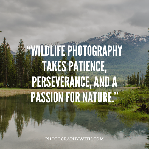 WildLife Photography quotes