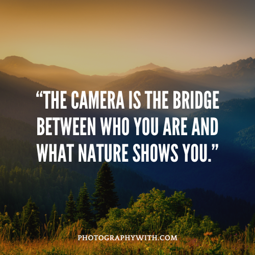 WildLife Photography caption