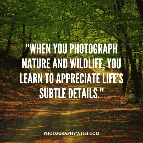 Wildlife Photography quotes