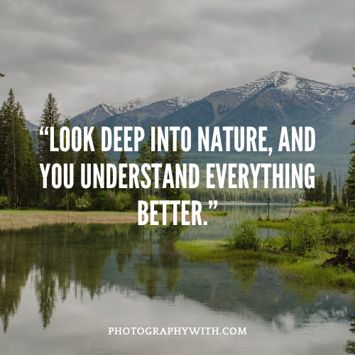 Wildlife Photography captions