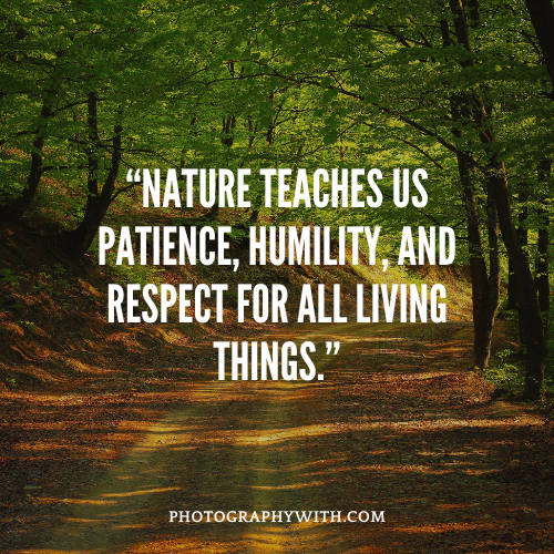 Wildlife Nature Photography quotes