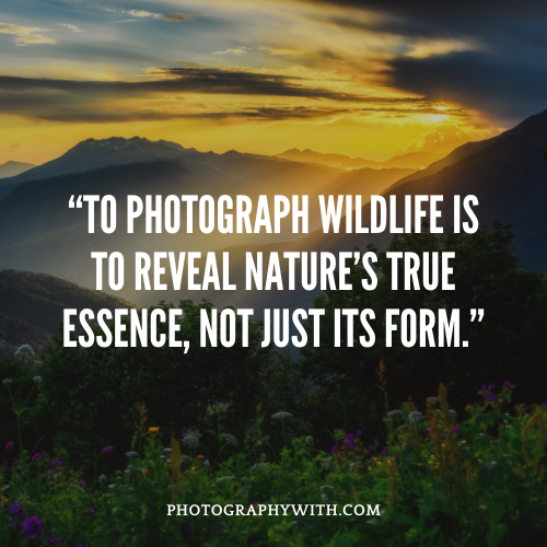 Wildlife Photography quotes