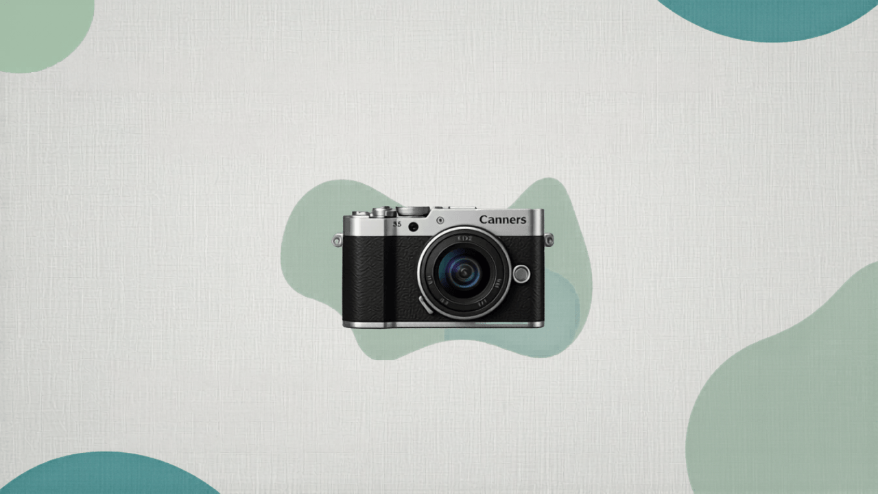 Best Beginner Cameras Under $500 (2026)